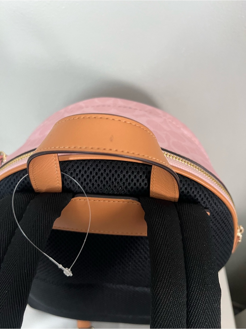 Coach Taylor Backpack In Powder Pink Color - Picture 13 of 13